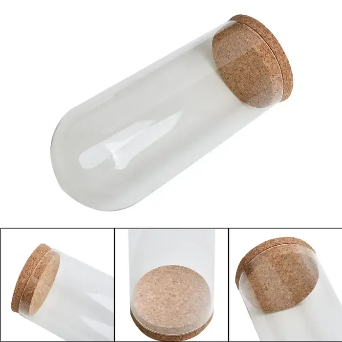 Cloche en forme de dôme en verre