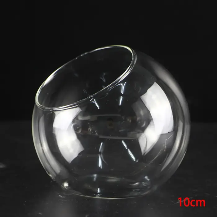 Récipient de terrarium pour micro invité