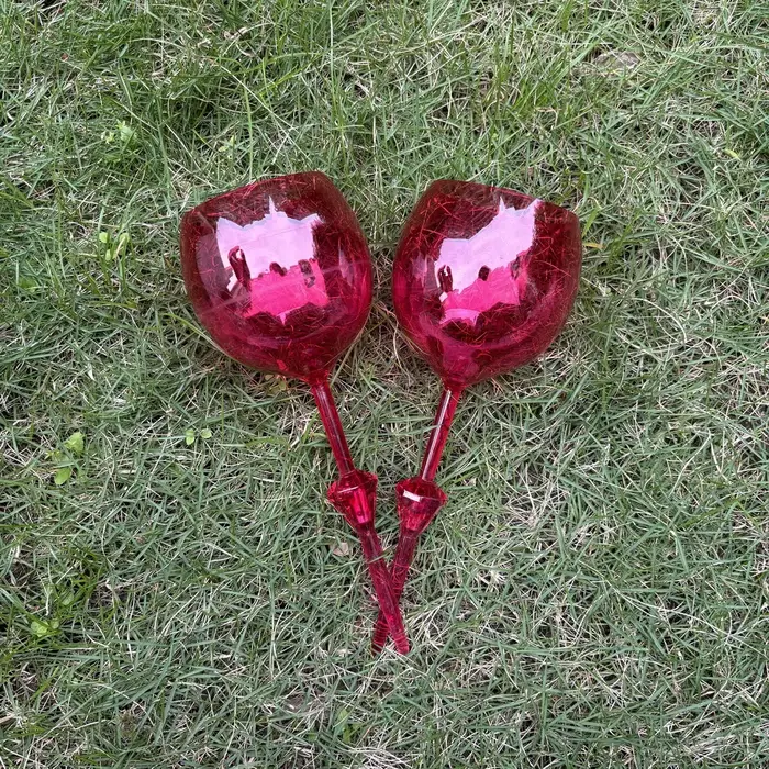 Flûtes à Champagne en Plastique et Acrylique