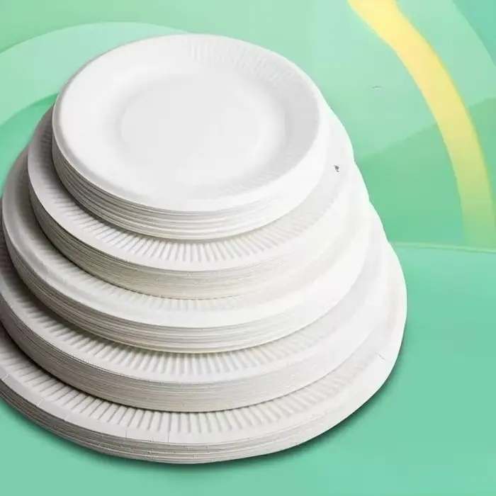 Assiettes en papier jetables