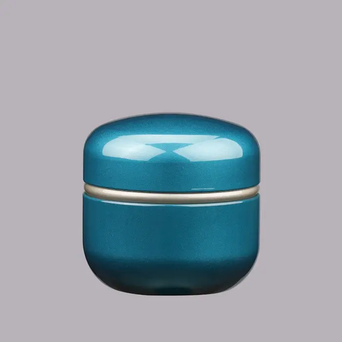 Boîte de stockage de thé en fer blanc galvanisé de 50g, boîte métallique hermétique pour café/bonbon