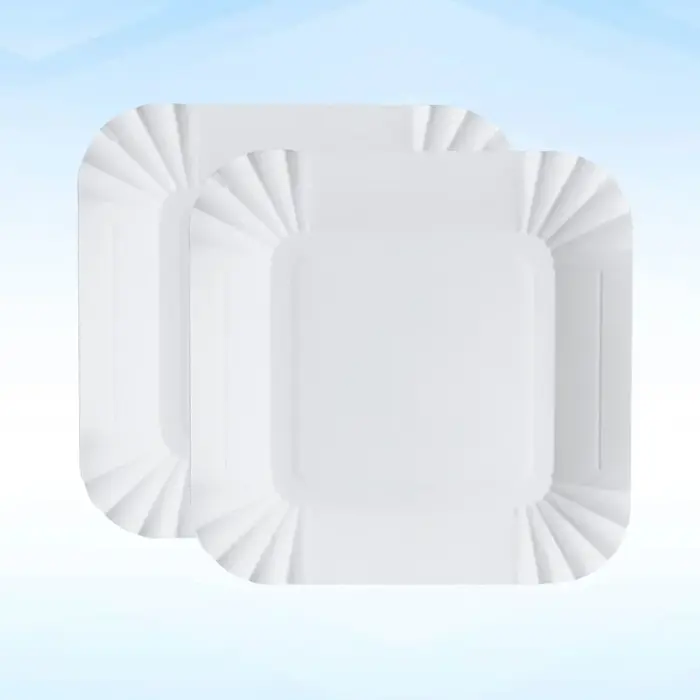 Assiettes en papier jetables