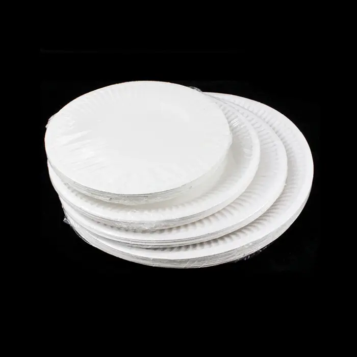 Ensemble d'assiettes en papier jetables blanches