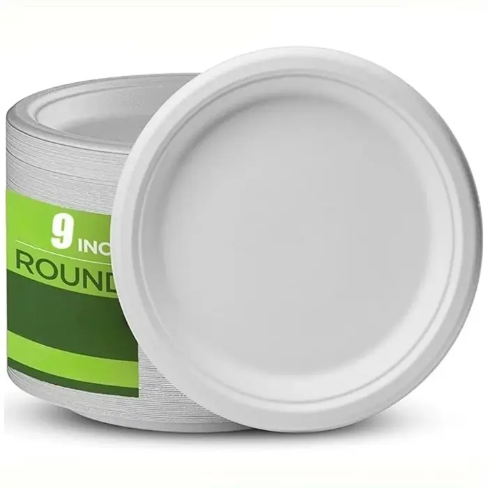 Assiette en papier circulaire jetable biodégradable de 9 pouces, pour fête d'anniversaire, noël, piq