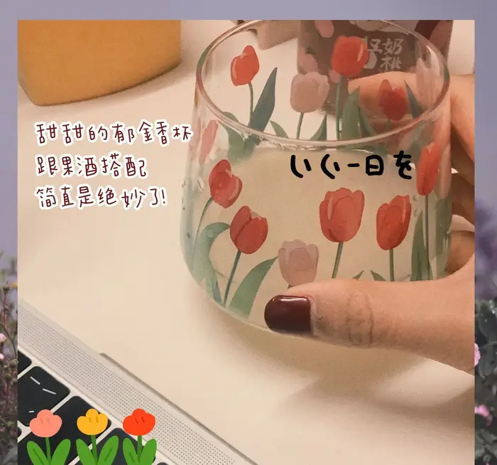 Verres durables en verre à haute teneur en Borosilicate pour thé