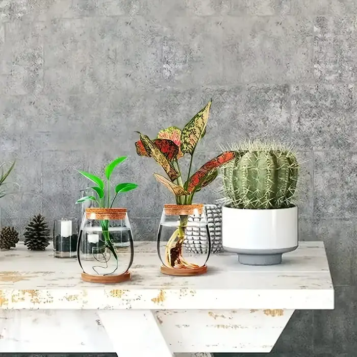 Pot en verre hydroponique - Vase de propagation moderne pour plantes d'intérieur et décoration intérieure