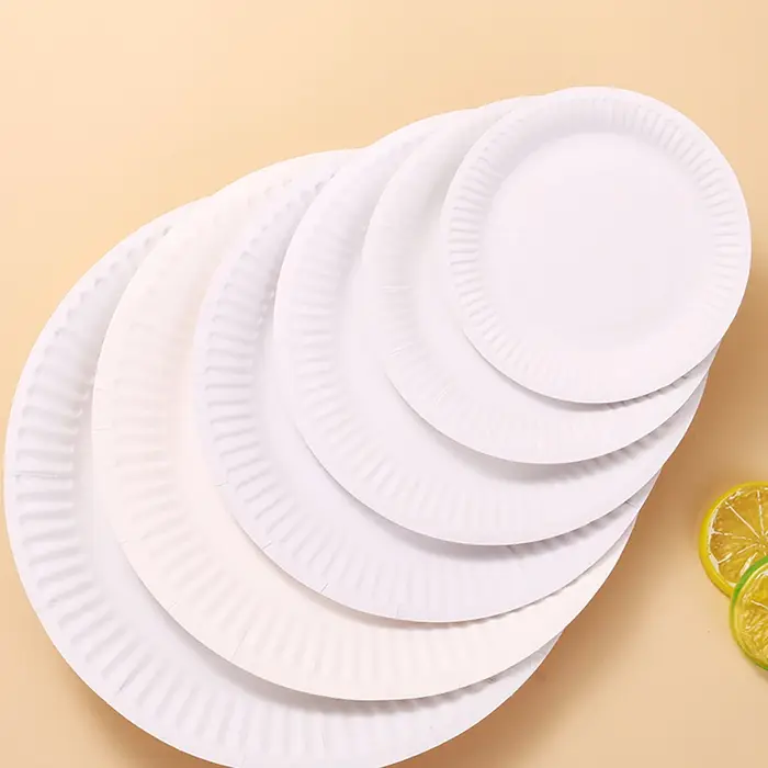Ensemble d'assiettes en papier jetables blanches