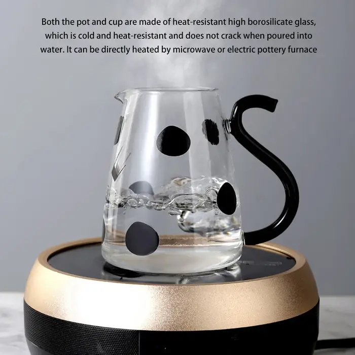 Bouilloire d'eau froide en verre avec poignée