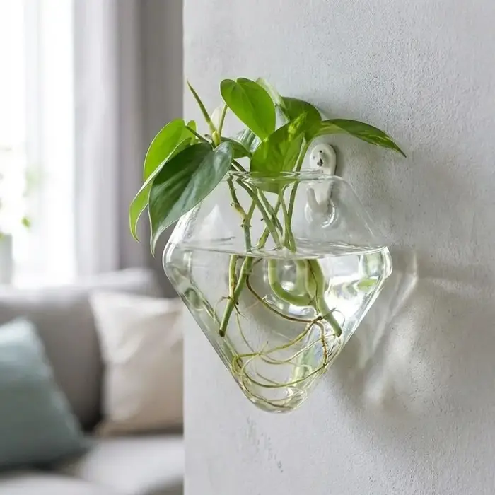 Vase hydroponique de forme irrégulière