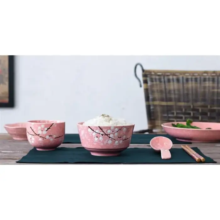Ensemble de vaisselle en céramique de style japonais