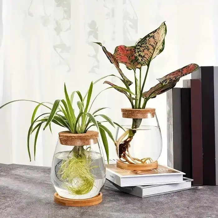 Pot en verre hydroponique - Vase de propagation moderne pour plantes d'intérieur et décoration intérieure