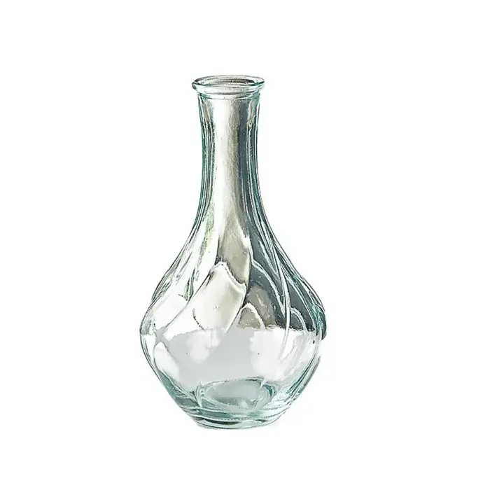 Vase en verre vintage en relief pour plantes hydroponiques transparentes