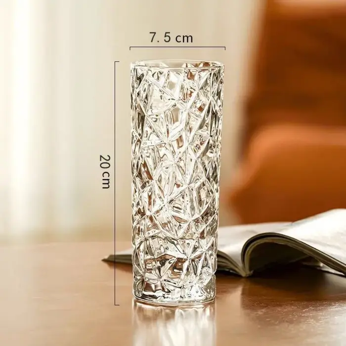 Vase en verre à motif de Glacier de luxe léger, Vase hydroponique Transparent et créatif, décoration