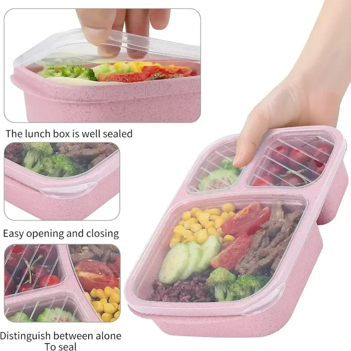 Boîte à déjeuner Bento pour enfant avec couvercles et fourchettes