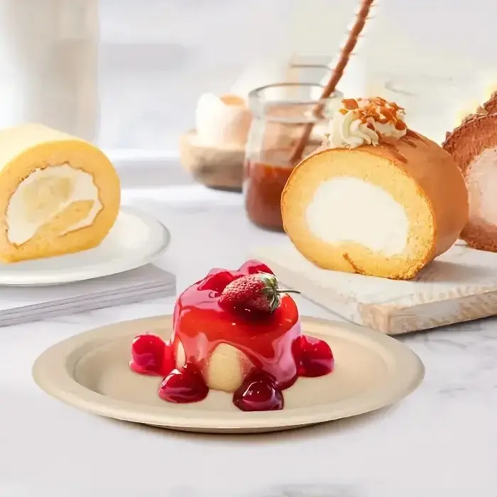 Assiettes circulaires en papier