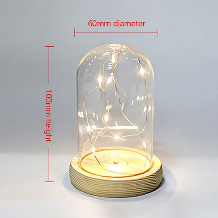 Dôme en verre Base en bois avec lumière LED