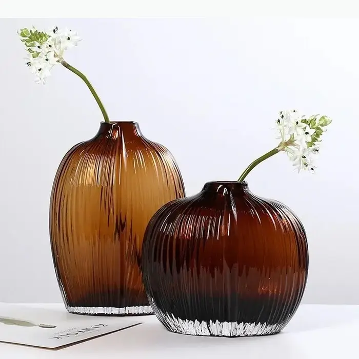 Vase en verre hydroponique transparent