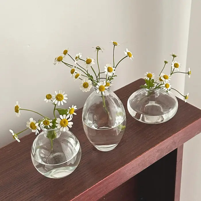 Vase en verre de table de style moderne, décoration de maison, mini porte-fleurs en verre, ensemble 