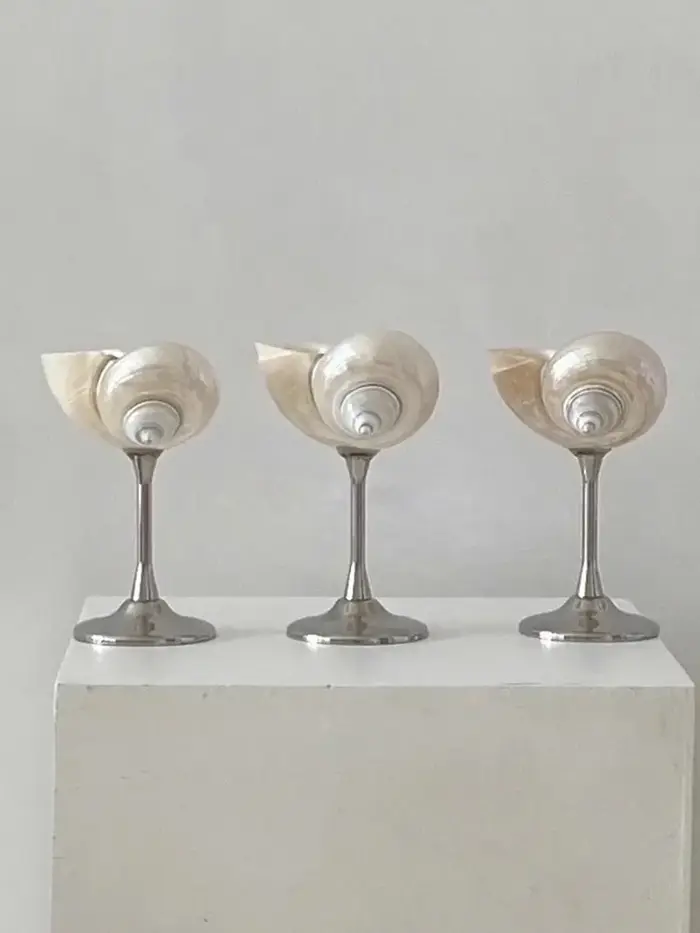AhunderJiaz-verres à Champagne Vintage