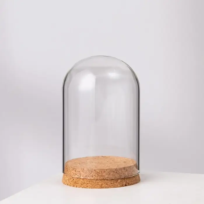 Dôme d'affichage cloche en verre avec Base en bois, décor de table élégant pour la maison, les maria