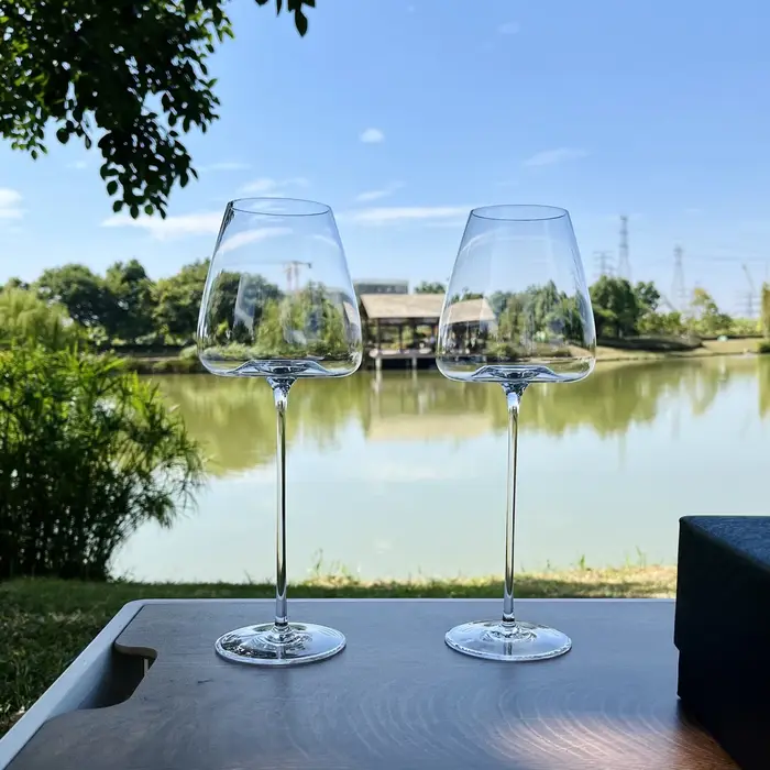 Verre à Vin Rouge Très Fin