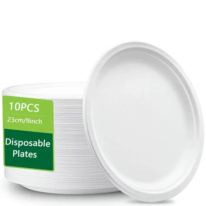 Assiettes jetables blanches