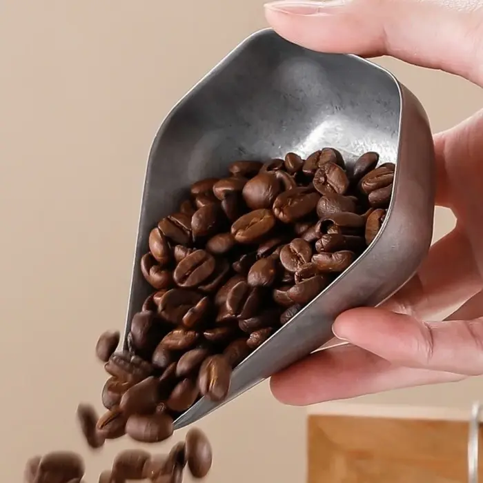 Tasse doseuse de grains de café en acier inoxydable