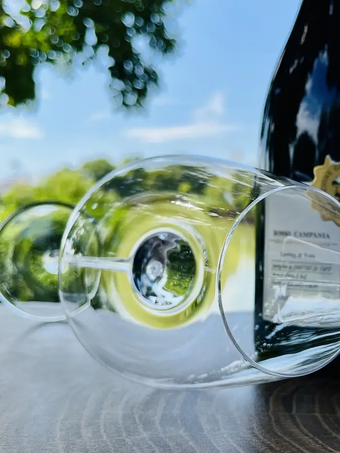 Verre à Vin Rouge Très Fin