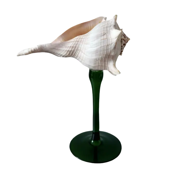Verre à vin rouge à tige en coquille Vintage, verre à boire créatif, Design naturel, cadeau d'annive