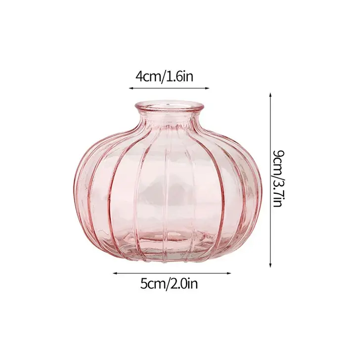 Vase en verre transparent pour plantes