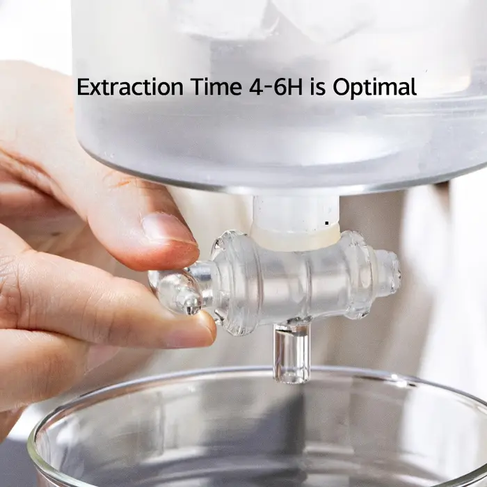 Cafetière à infusion froide de 600ml avec filtre goutte