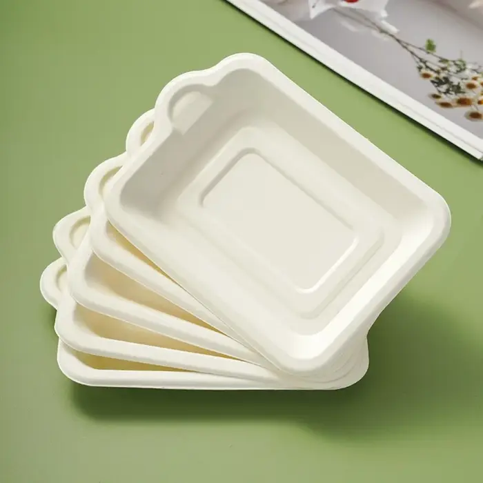 Assiette en papier jetable en matériau biodégradable