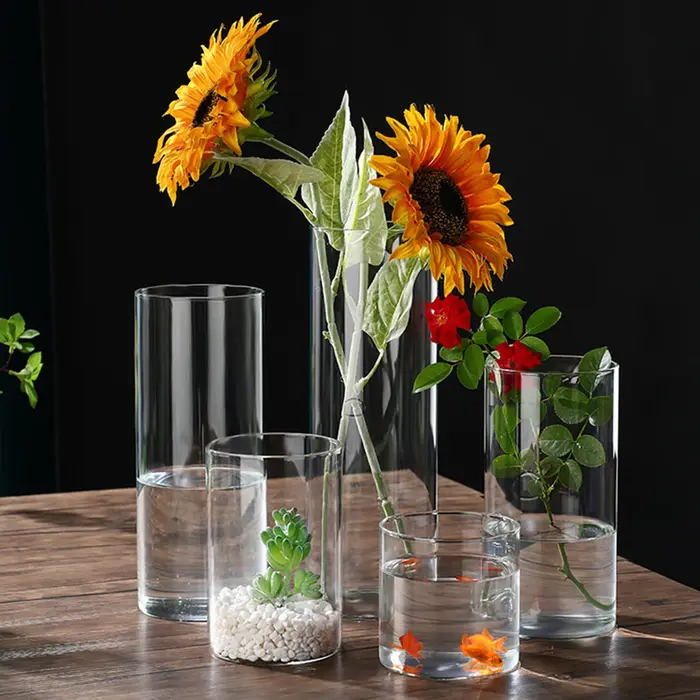 Vase hydroponique en verre simpliste