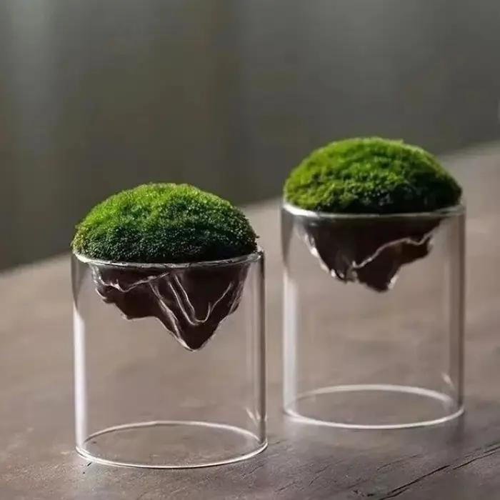 Bouteille de Mousse en Verre Épais