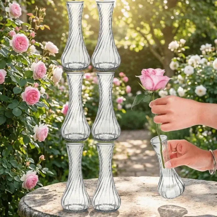 Lot de 6 mini-vases en verre transparents pour décoration de table