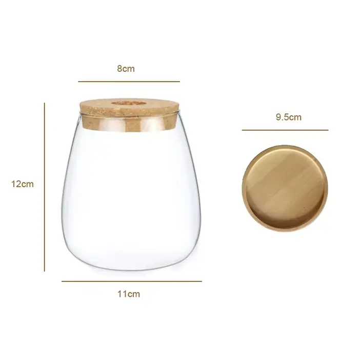 Pot en verre hydroponique - Vase de propagation moderne pour plantes d'intérieur et décoration intér