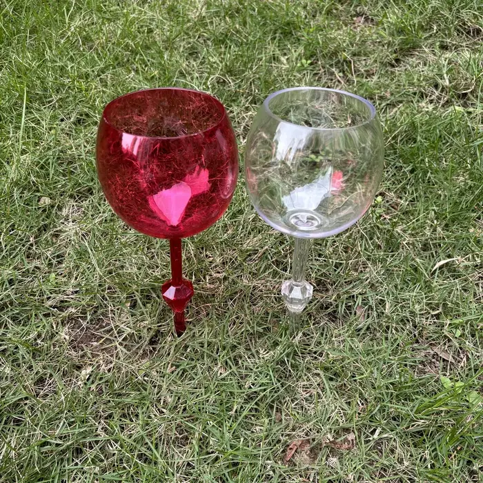 Flûtes à Champagne en Plastique et Acrylique