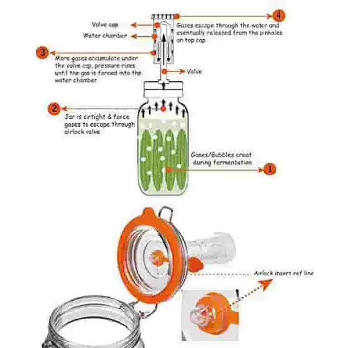 Pot de fermentation, pot de fermentation en verre de 1