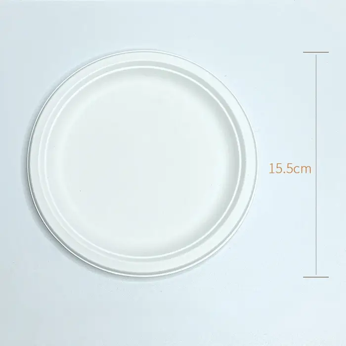 Assiettes de poulet en papier nickel able écologique