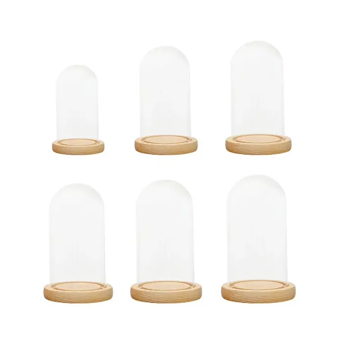 Cloche en verre, pot de cloche