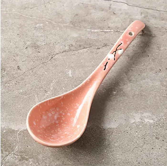 Ensemble de vaisselle en porcelaine fine (Bone China) avec cuillère