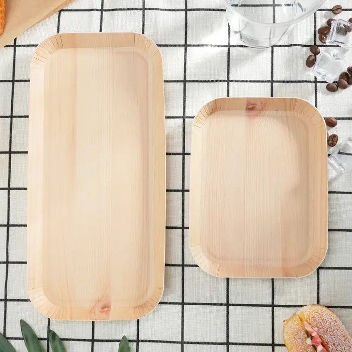 Assiettes en papier jetables compostables