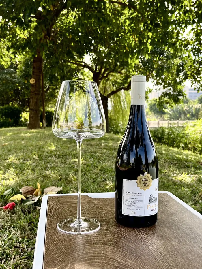 Verre à Vin Rouge Très Fin