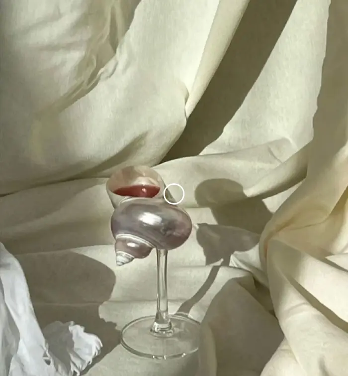 Verre à vin en coquille de conque naturelle fait à la main